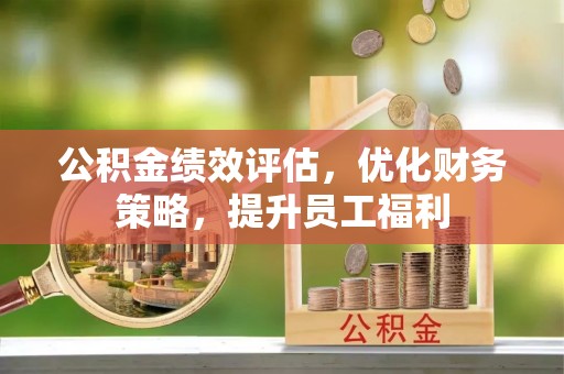 丹巴公积金绩效评估，优化财务策略，提升员工福利