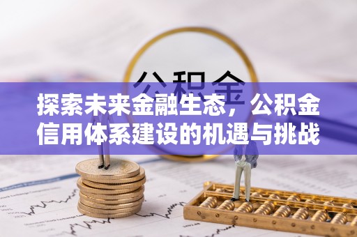 丹巴探索未来金融生态，公积金信用体系建设的机遇与挑战