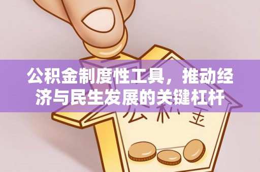 丹巴公积金制度性工具，推动经济与民生发展的关键杠杆