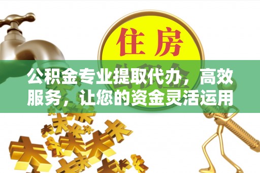 丹巴公积金专业提取代办，高效服务，让您的资金灵活运用
