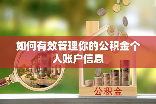 丹巴如何有效管理你的公积金个人账户信息