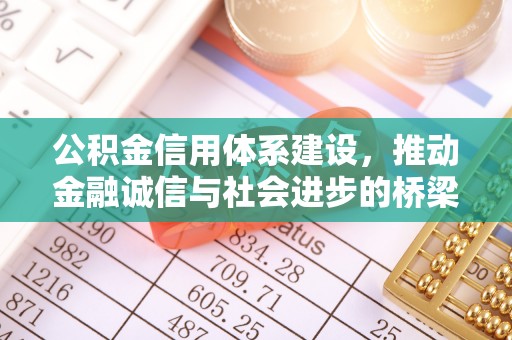 丹巴公积金信用体系建设，推动金融诚信与社会进步的桥梁