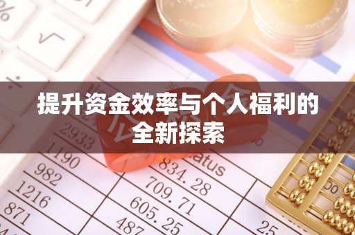 丹巴提升资金效率与个人福利的全新探索