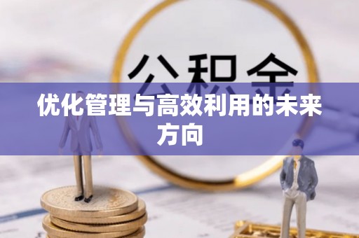 丹巴优化管理与高效利用的未来方向
