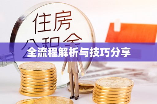 丹巴全流程解析与技巧分享